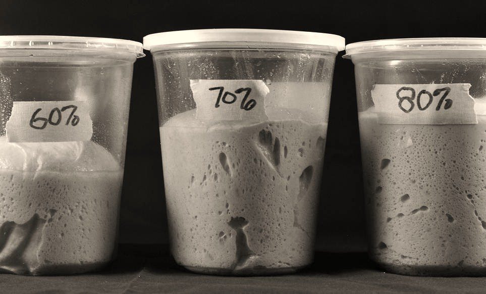 Hydration Levels compared - how does this affect your dough?